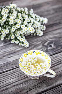 bloom, blossom, chamomile, cup, flora, flowers, mug, tea, wood - Material HD wallpaper