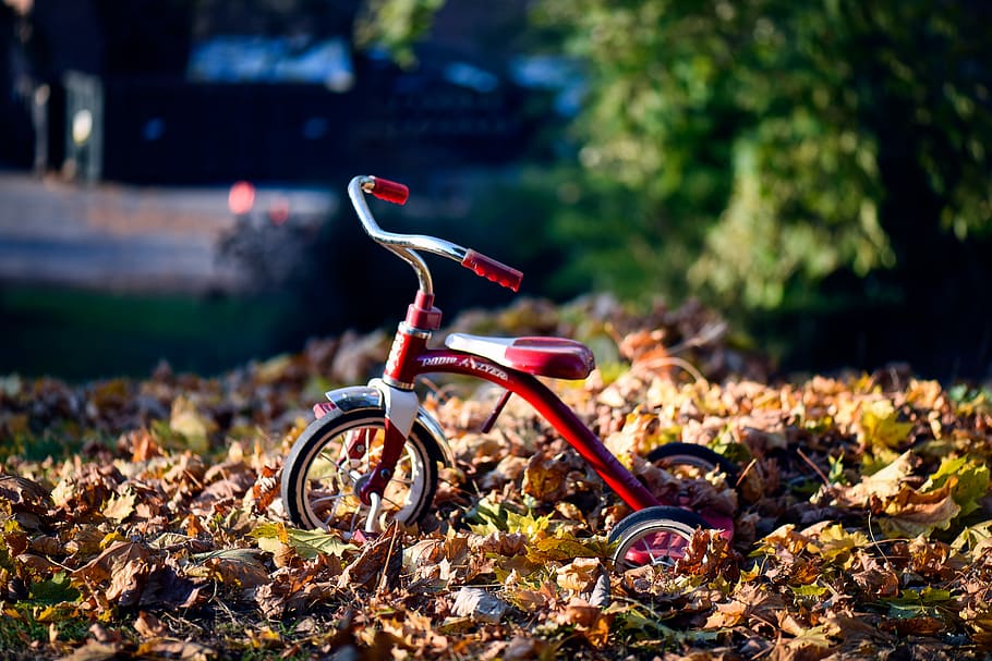 red Radio Flyer trike on brown dried leaves, shallow focus photography of red Radio Flyer trike HD wallpaper
