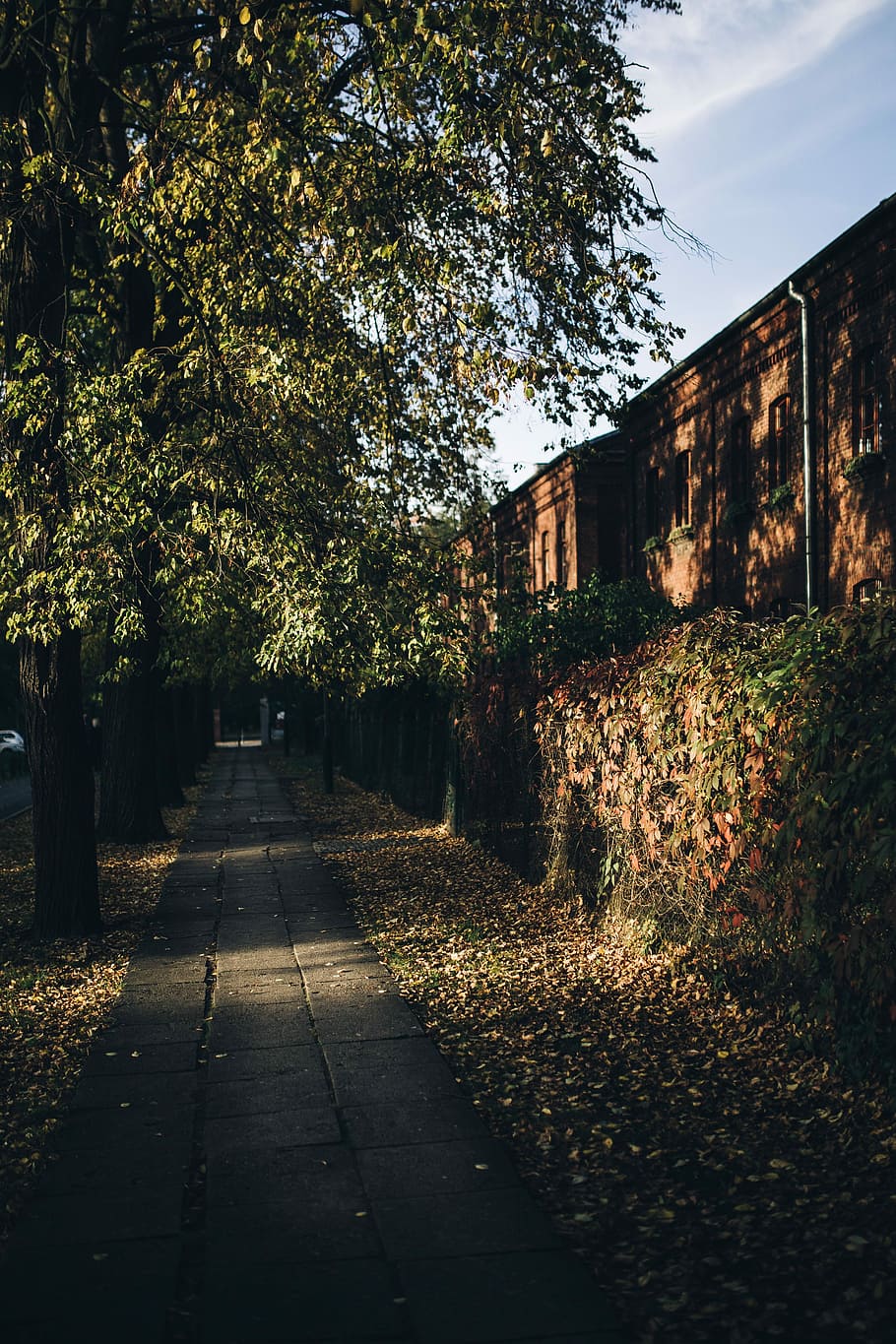Old bricks buildings in Lodz, Poland, outdoor, architecture, town HD wallpaper