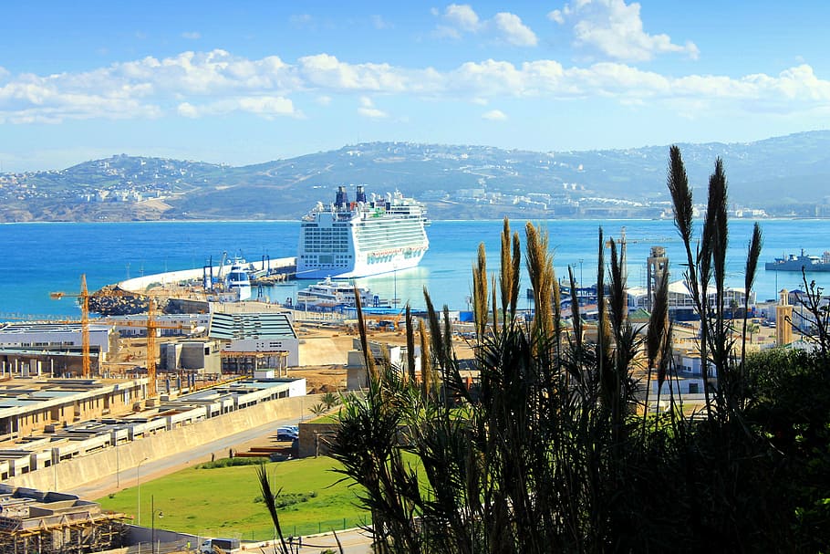 green leafed plant, cruise, tanger, morocco, sea, architecture, HD wallpaper