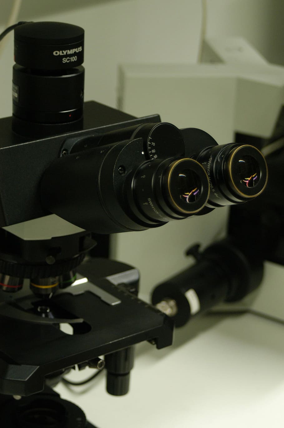 microscope, laboratory, research, science, equipment, lens - Optical Instrument HD wallpaper