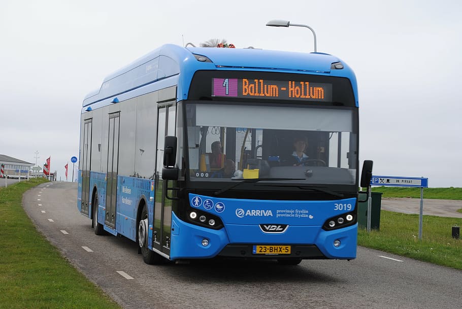 blue bus on road, ameland, electric, durable, mode of transportation, HD wallpaper