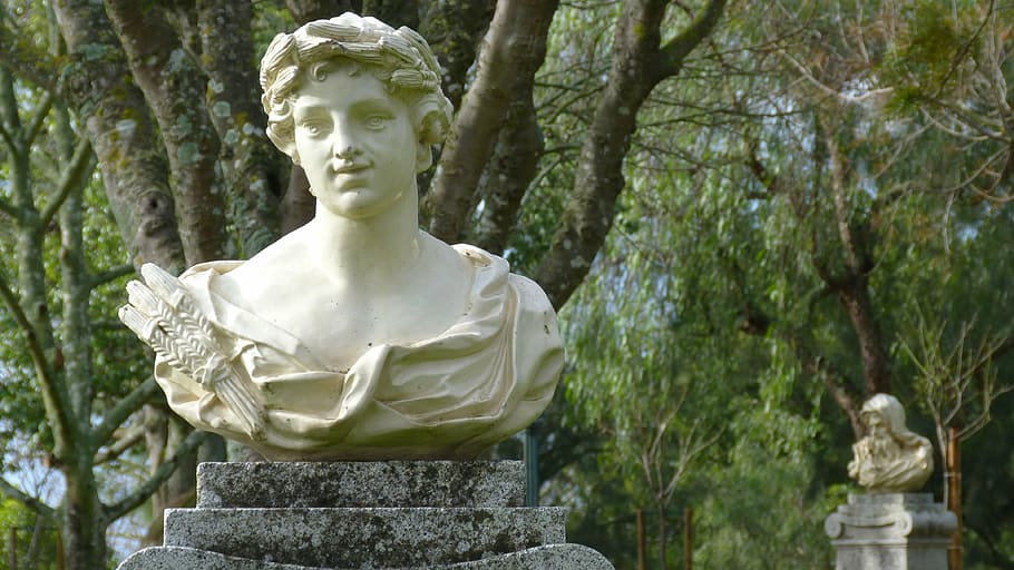 bust, sculpture, head, figure, stone, park, statue, human representation HD wallpaper