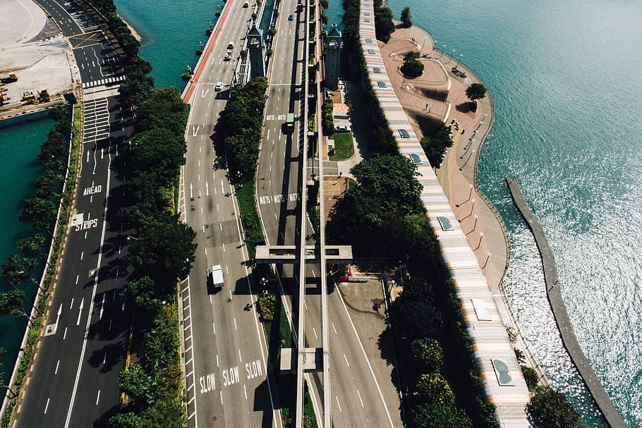 sea, water, bay, tree, plant, nature, road, way, highway, railway HD wallpaper