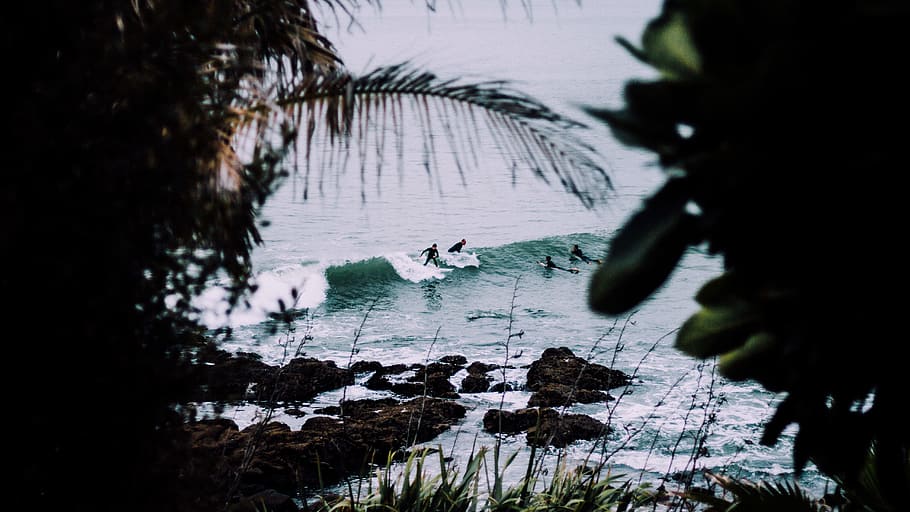 people riding on surfboards, people surfing on seawaves at daytime HD wallpaper