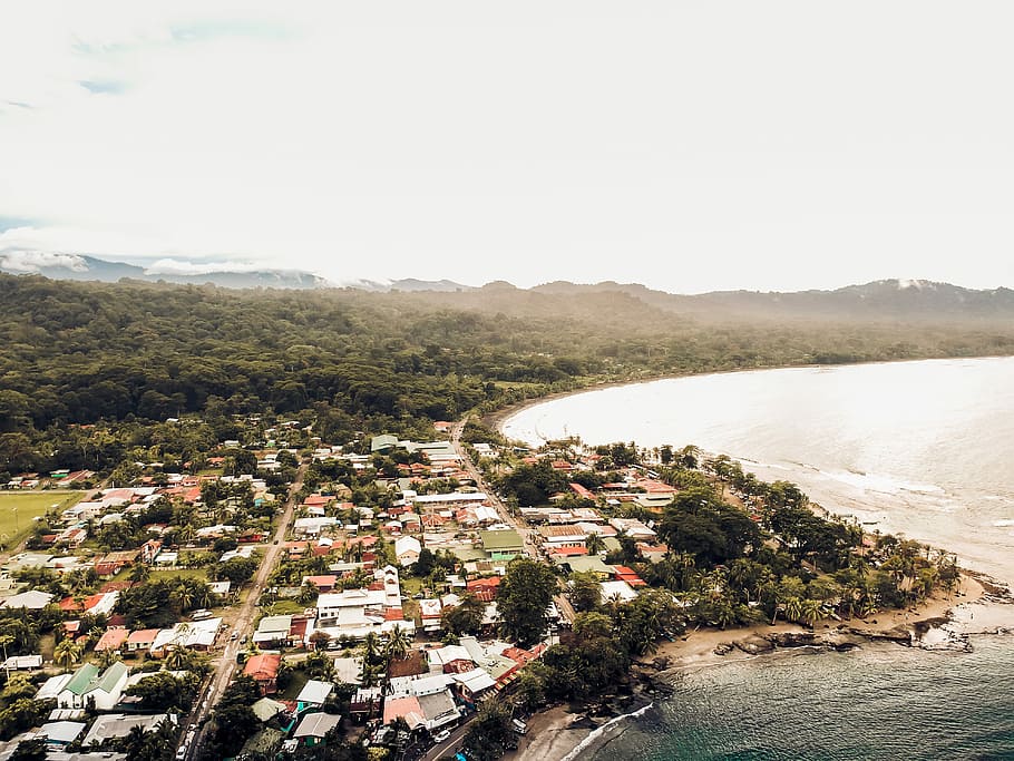 aerial photography of houses beside ocean, aerial photograph of building near body of wate HD wallpaper