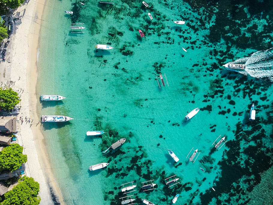 aerial view of shore, boats on body of water near seashore, clear HD wallpaper
