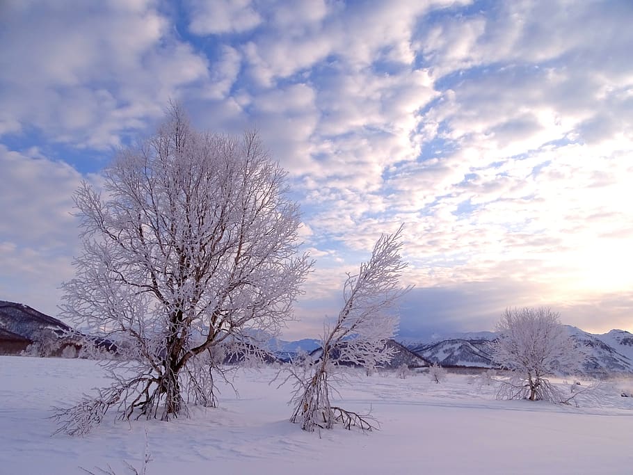 Winter spring. Мороз крепчает Северная природа. Рассвет в Благовещенске Амурской области зимой. Фото Winter Spring. Амурские Морозы.