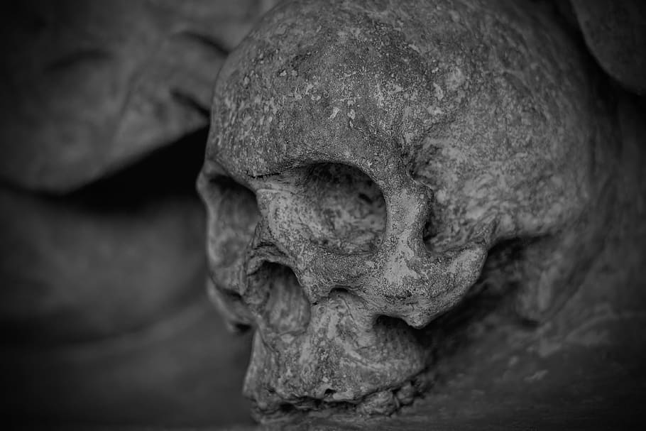 human skullhead grayscale photo, skull and crossbones, dead, skeleton, HD wallpaper
