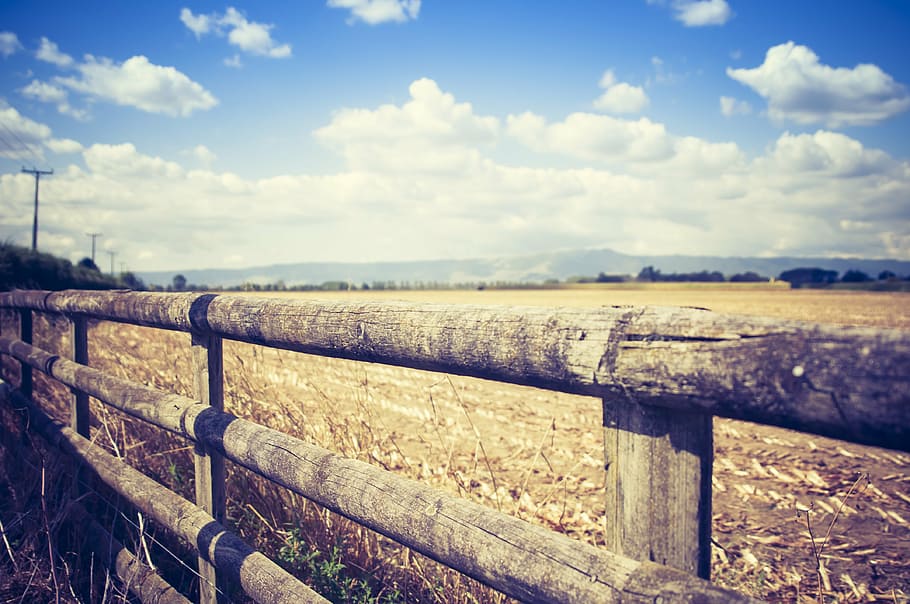 close-up, clouds, fence, grass, landscape, light, nature, outdoors HD wallpaper
