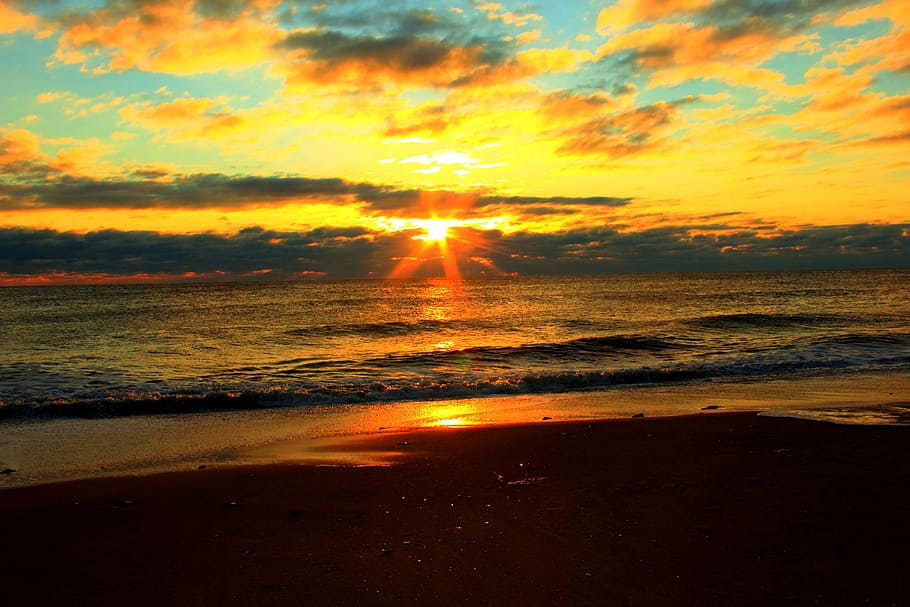 seashore during sunset, sunrise, beach, ocean, water, travel HD wallpaper