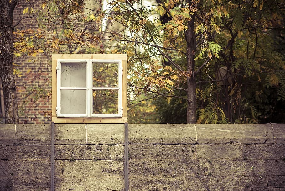 window frame, outdoors, wall, vintage, wooden, design, tree HD wallpaper