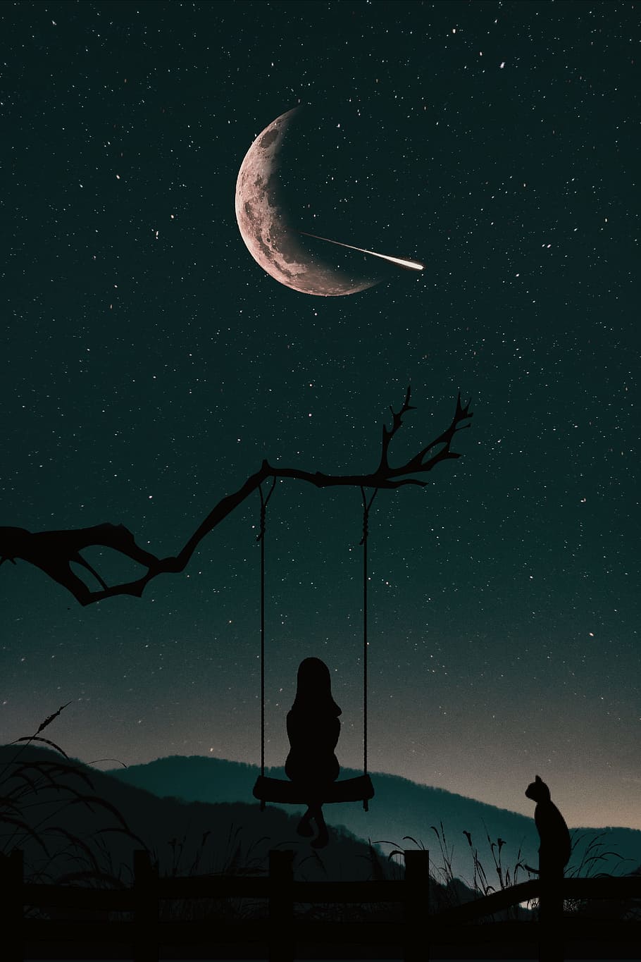 silhouette of girl sitting on swing fixed to a tree branch under bright starry night sky with crescent moon illustration, HD wallpaper
