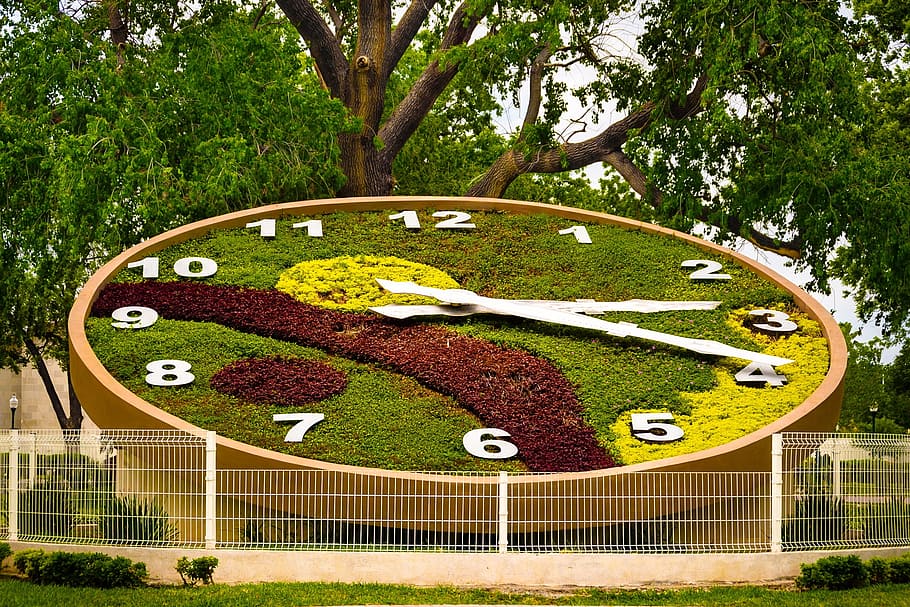 tree, park, lawn, nature, summer, garden, outdoors, clock, plaza HD wallpaper