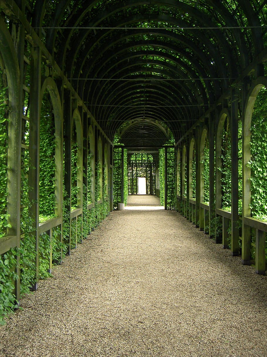 photo of hallway with green leaf plants, palace, garden, light