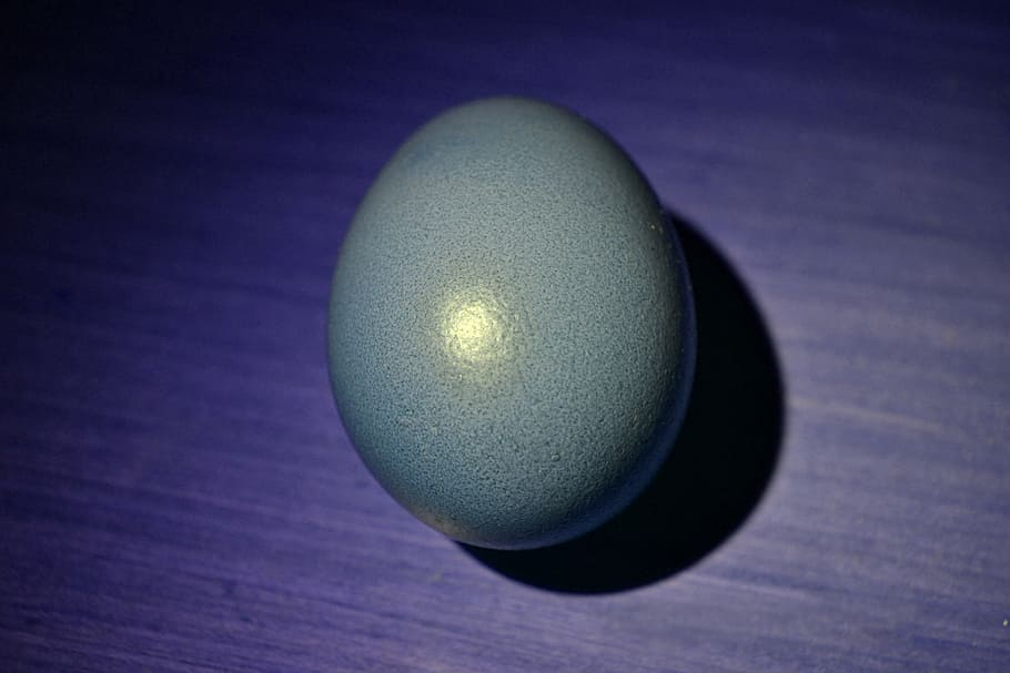 egg, still life, calm, close-up, single object, table, indoors HD wallpaper