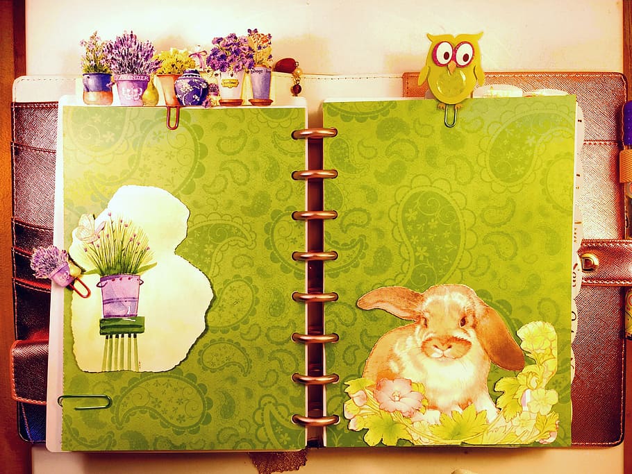 spring, planner, bunny, easter, hand made, flower, flowering plant HD wallpaper