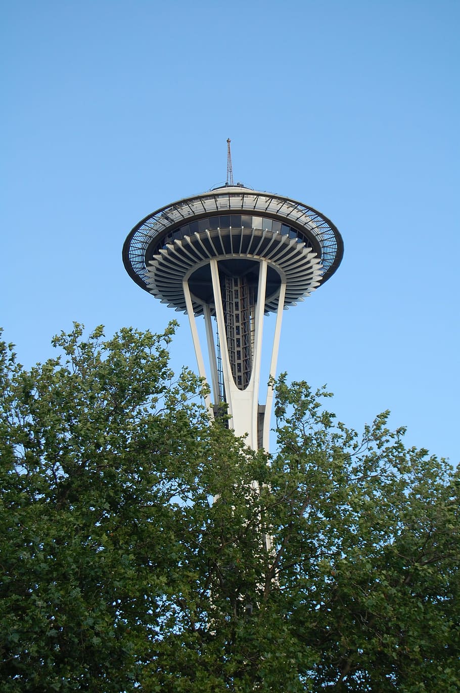 seattle, space needle, skyline, tower, low angle view, architecture HD wallpaper