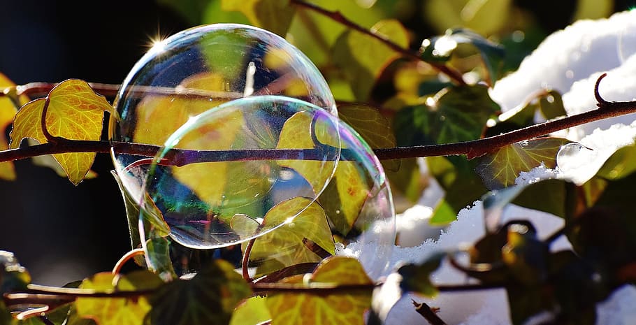 Soap Bubbles, Winter, Snow, Iridescent, ivy, leaves, close-up HD wallpaper