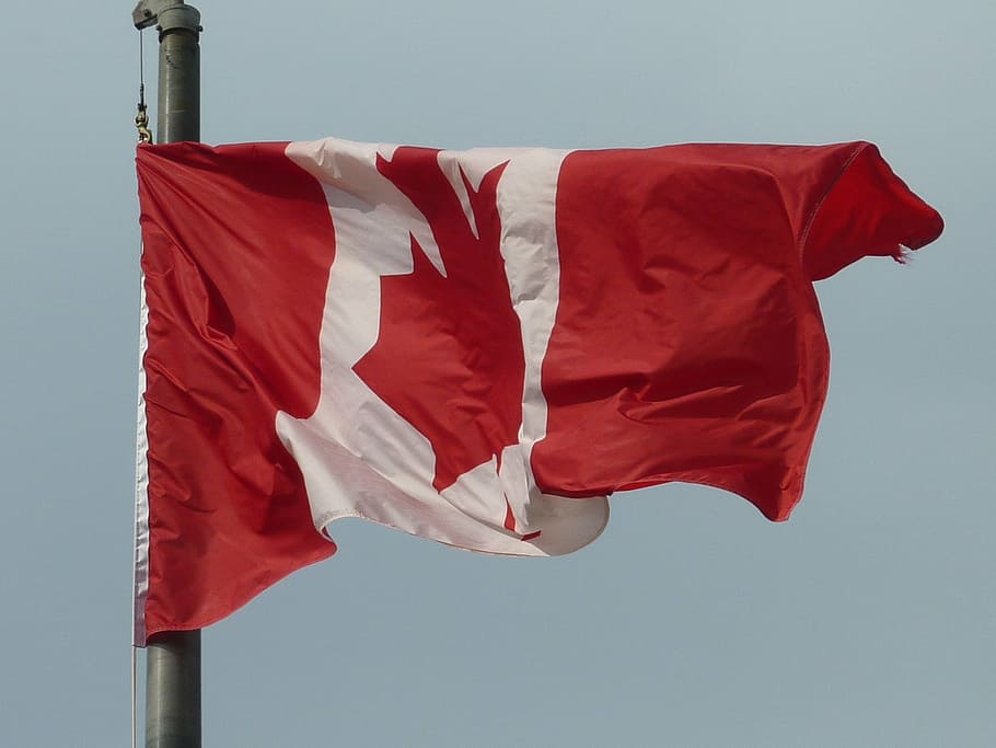 canada, flag, flag fluttering, red, patriotism, wind, environment HD wallpaper