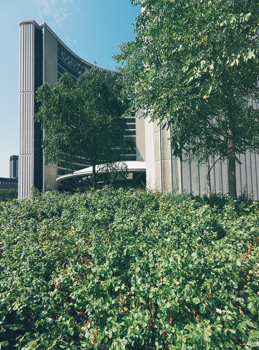 toronto city hall, new city hall, canada, architecture, ontario, HD wallpaper