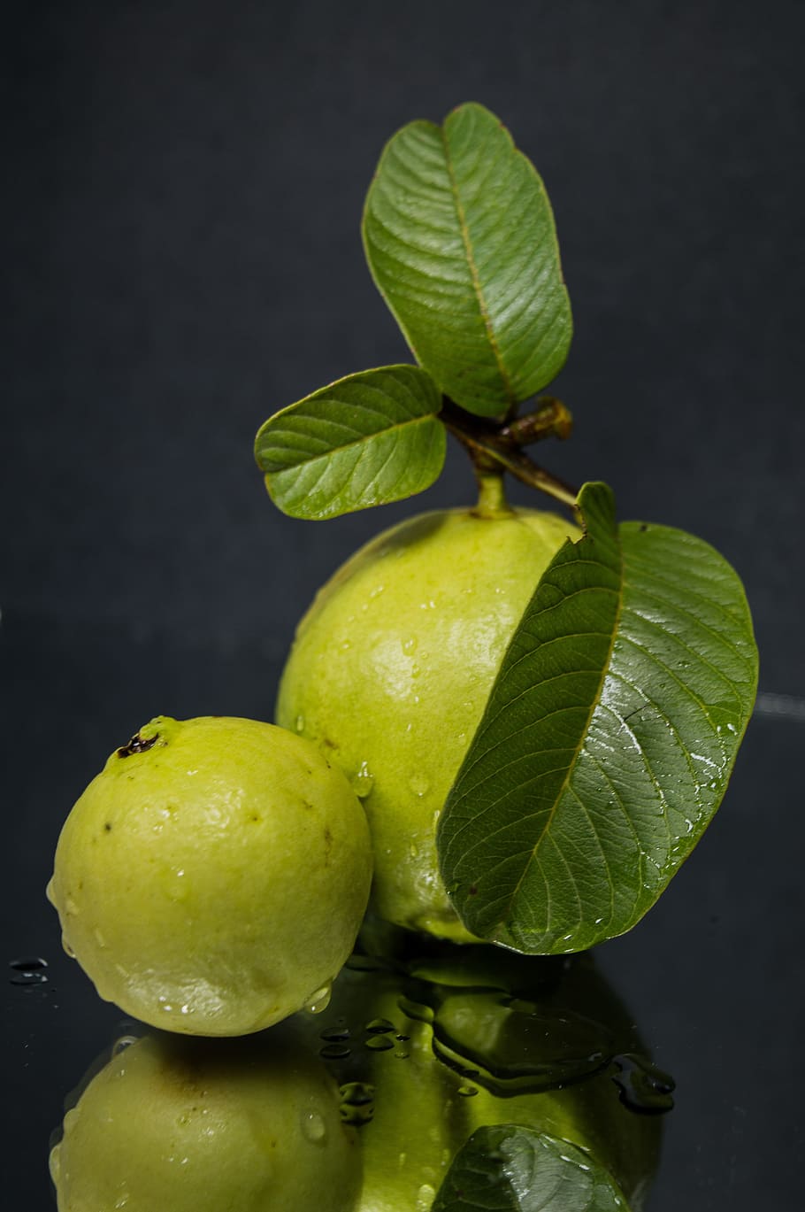 green guava fruit on black surface, leaf, food, nature, flora, HD wallpaper