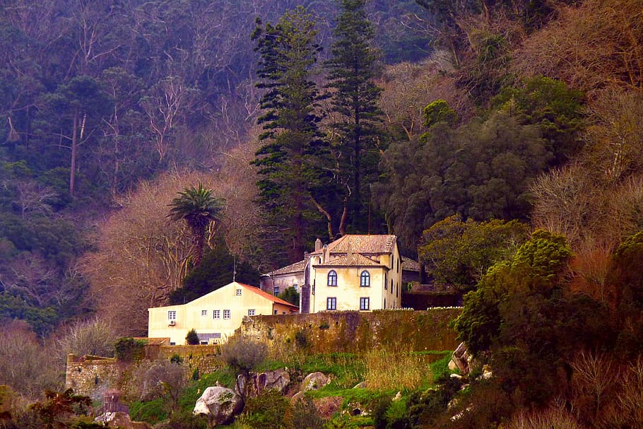 Home, Old House, Romantic, Spring, forest, sintra, portugal HD wallpaper