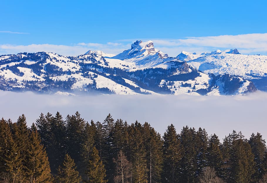 Scenic View of Mountains, alps, clouds, cold, conifer, conifers HD wallpaper