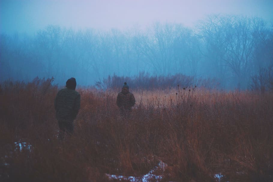 two person walking on grasses during foggy season, man, wearing HD wallpaper