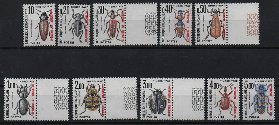 Stamps, Philately, Bugs, Postage, photograph, close-up, movie HD wallpaper