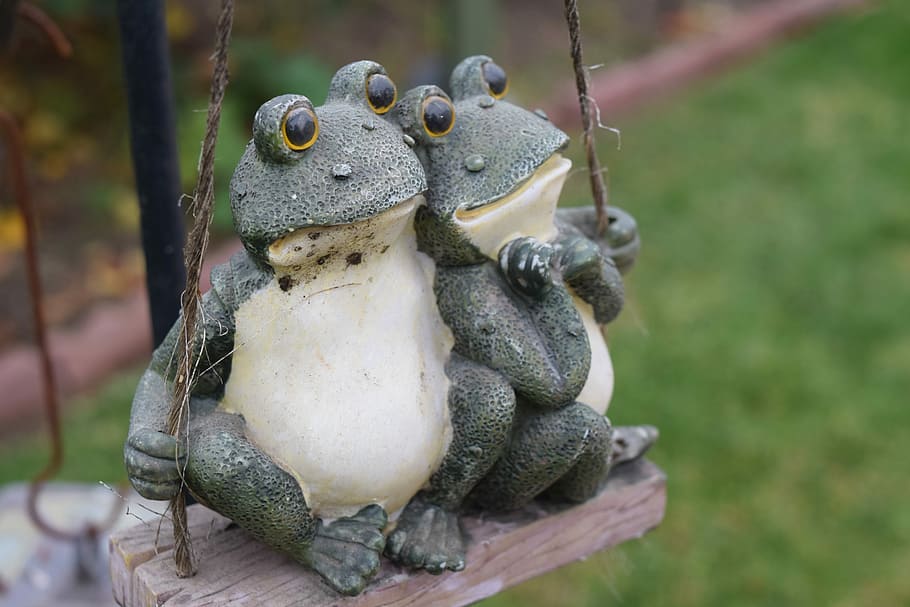 Frog, Swing, Garden, Couple, Play, summer, outdoors, animal, HD wallpaper