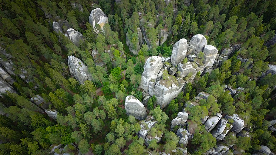 aerial view of trees during daytime, high-angle view of white concrete stands surrounded by trees HD wallpaper