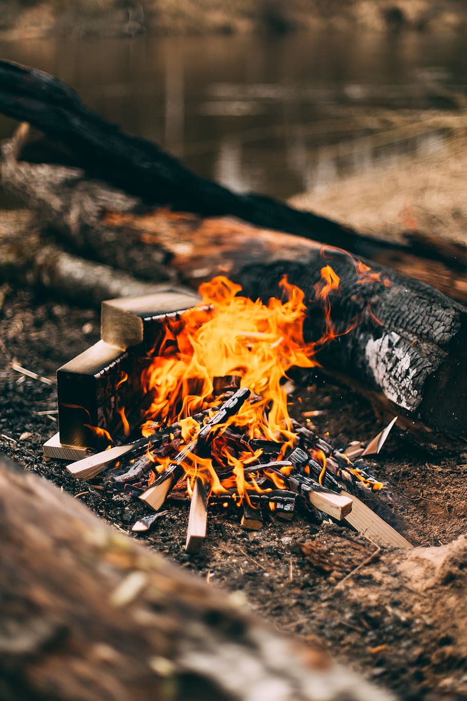 lighted bonfire overlooking body of water at daytime, bonfire