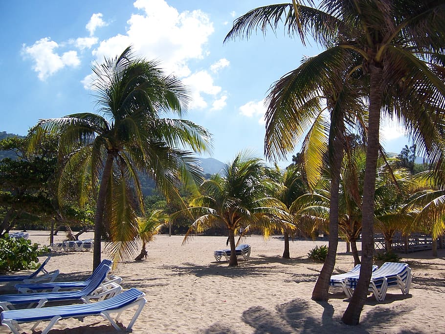 beach, vacation, summer, ocean, travel, sun, summer beach, tropical beach HD wallpaper
