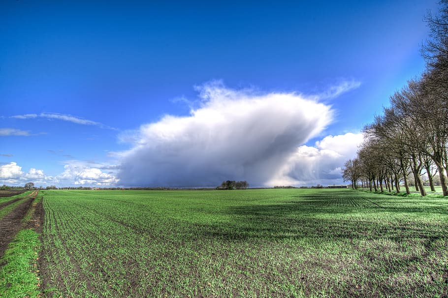 Cloud, Meadows, Cumulus, sky, sky clouds, blue sky clouds, nature HD wallpaper