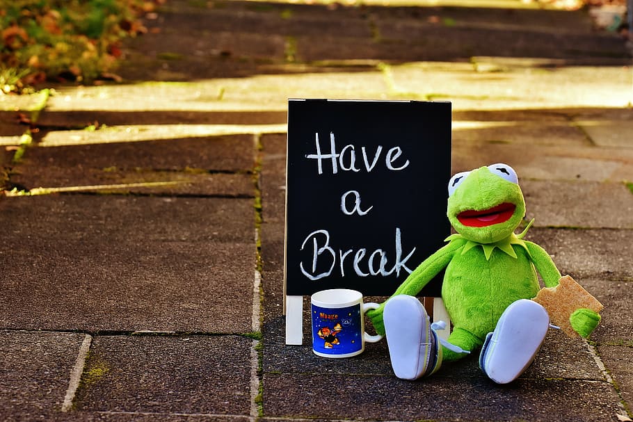 Kermit the Frog plush toy beside black and white Have A Break-printed chalkboard signage HD wallpaper
