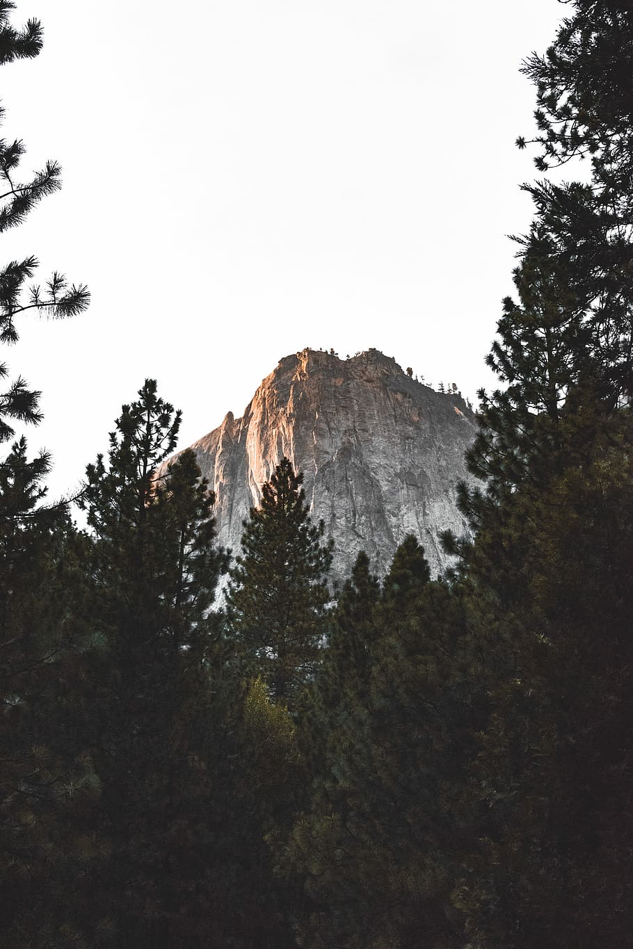 trees near mountain taken under white clouds, brown rocky mountain under white cloudy sky during daytime HD wallpaper