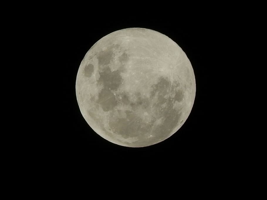 moon, night, space, planet, sky, nature, light, landscape, moonlight HD wallpaper
