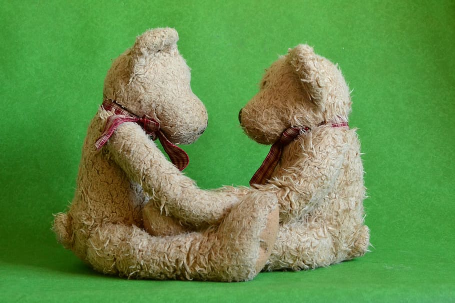 two brown bear plush toys facing each other, teds, couple, love