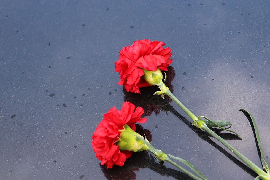 Hd Wallpaper Two Red Carnations Black Marble Symbol Decoration Cemetery Wallpaper Flare