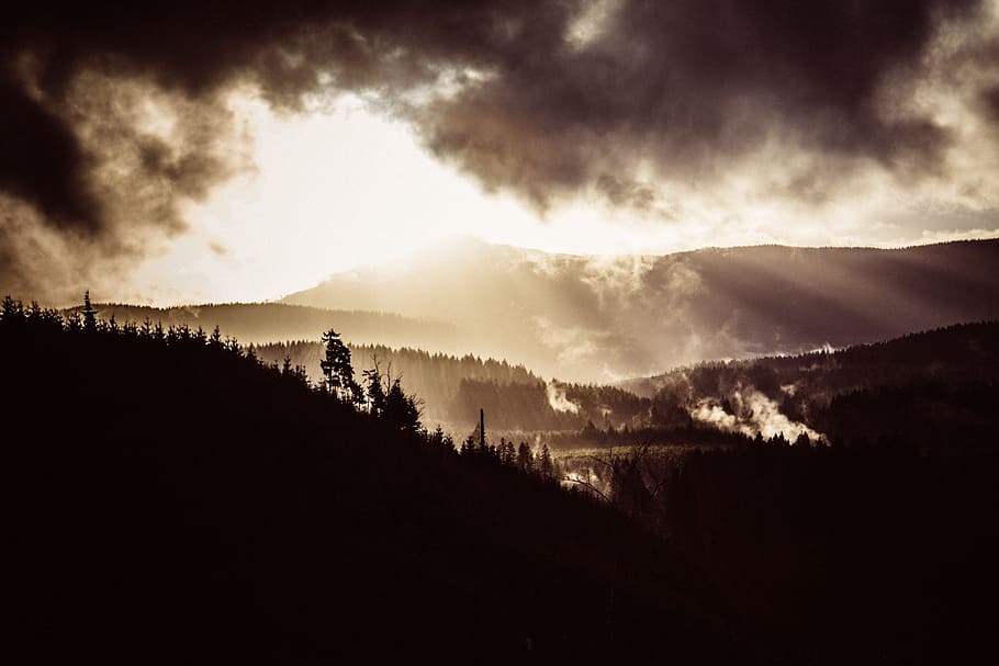 forest, mountain, grass, trees, dark, sky, clouds, cold, cloud - sky HD wallpaper
