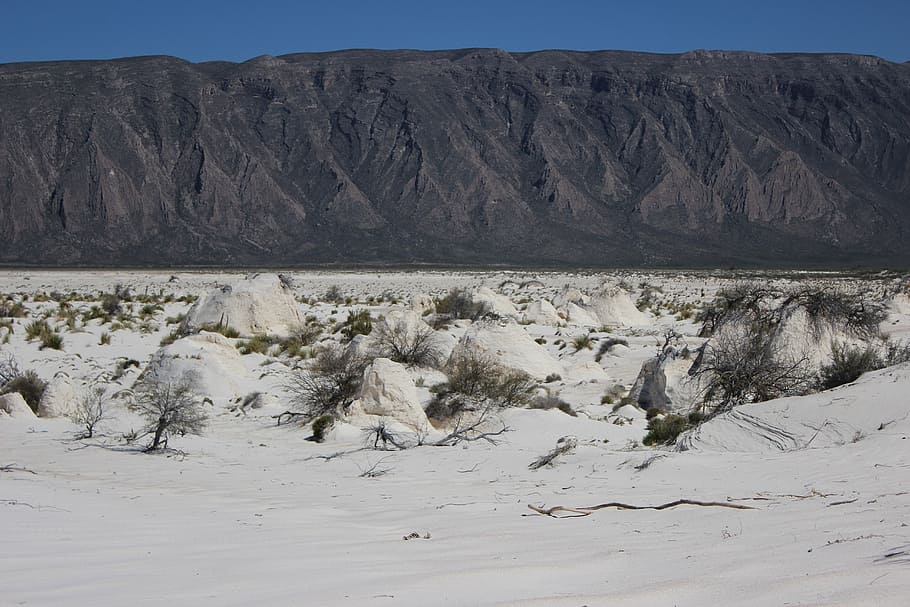 sand, white, white desert, landscape, environment, scenics - nature HD wallpaper
