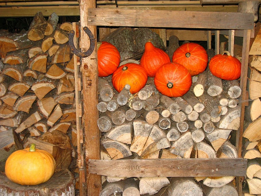 horseshoe, wood pile, pumpkin, autumn, halloween, wood - Material HD wallpaper