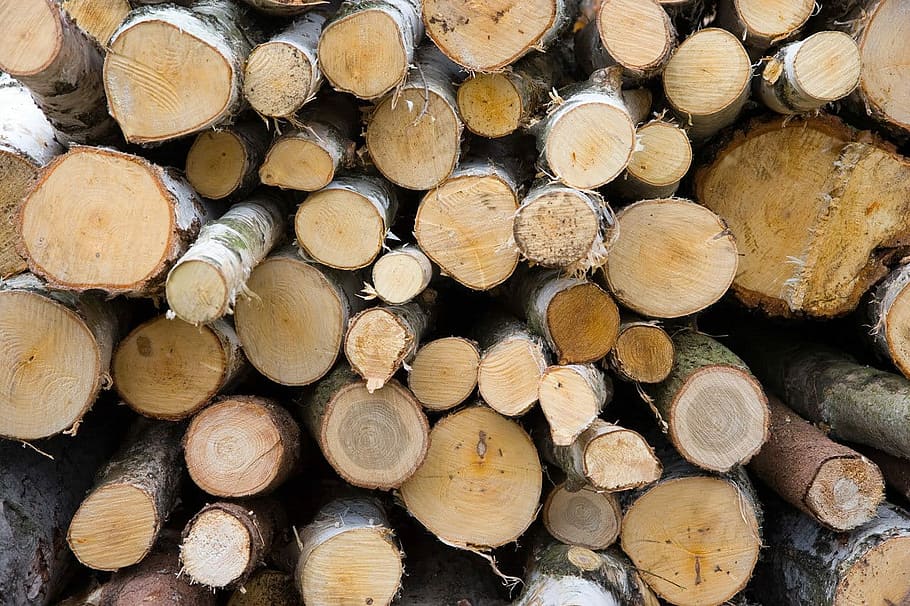 Wood, Branches, Brown, Forest, Firewood, bark, stack, timber HD wallpaper