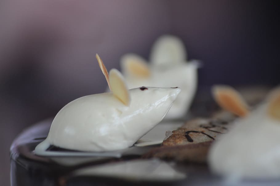 mouse, dessert, cake, tart, food and drink, selective focus HD wallpaper