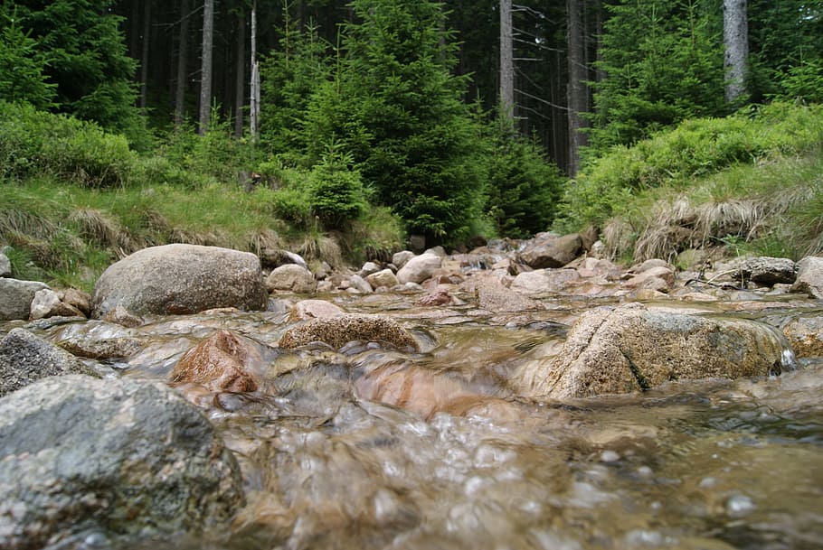 brook, forest, mountains, nature, waterfall, the brook, landscape HD wallpaper