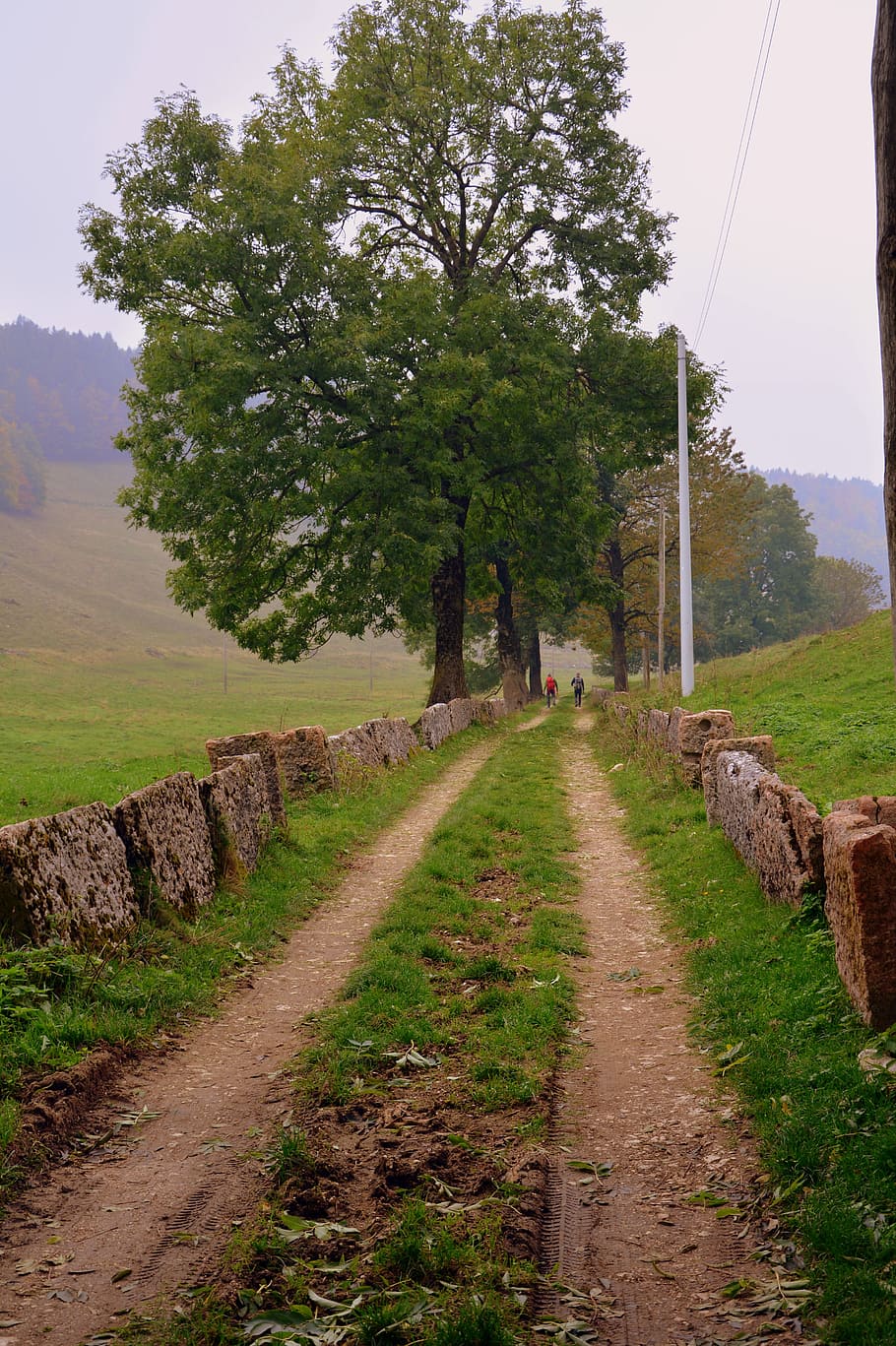 trail, via, trees, mountain, path, the european path, e5, lessinia HD wallpaper