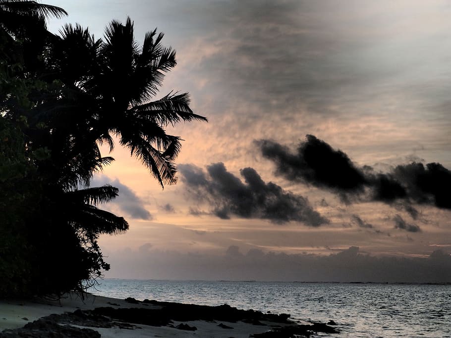 sunset, clouds, palm trees, beach, ocean, maldives, landscape HD wallpaper