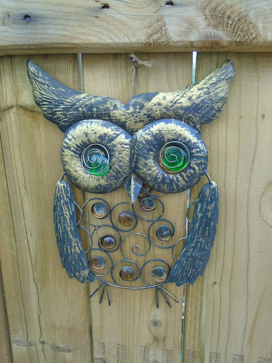 owl, bird, character, wood - material, close-up, representation HD wallpaper