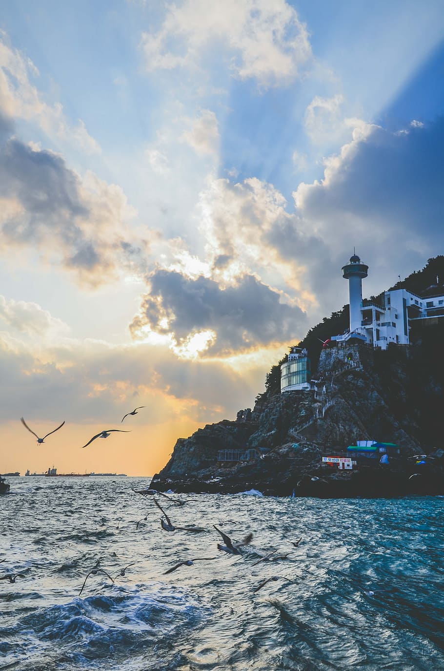 White Lighthouse Near Body of Water, architecture, beach, birds HD wallpaper
